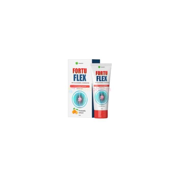 Fortu Flex - αποκατάσταση αρθρώσεων Fortu Flex - αποκατάσταση αρθρώσεων