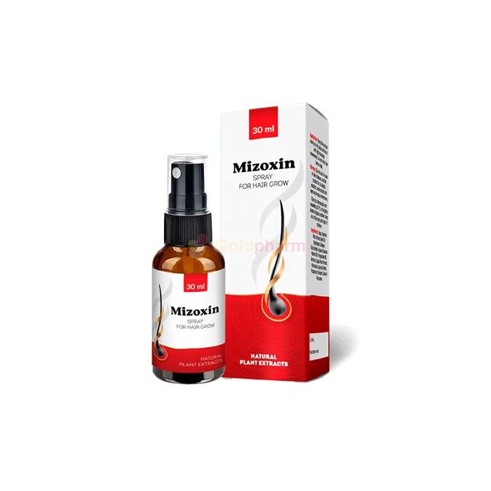 Mizoxin - προϊόν αποκατάστασης μαλλιών Mizoxin - προϊόν αποκατάστασης μαλλιών